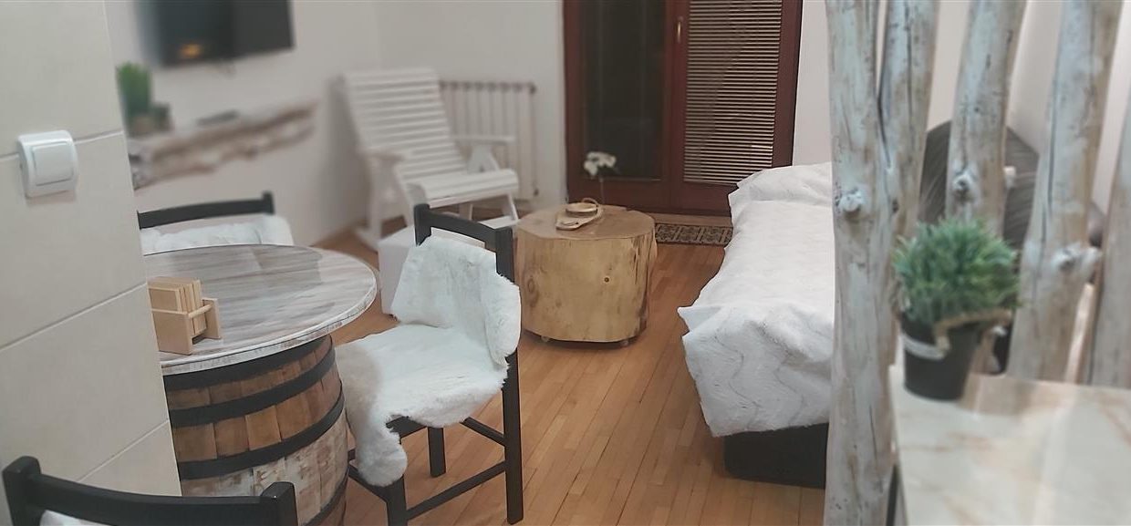 Se-izdava-top-ednosoben-stan-vo-Centar-nasproti-Zoil (6)