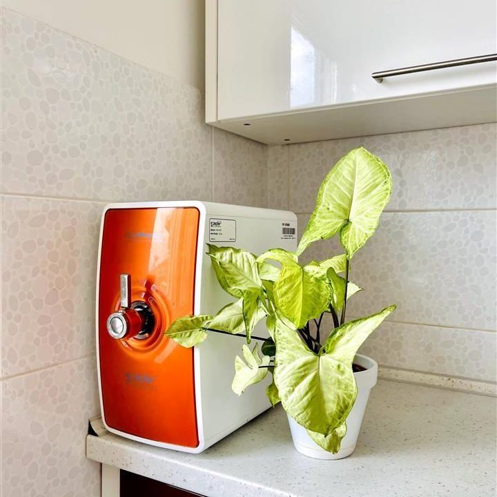 Издавам-стан-на-Водно (7)