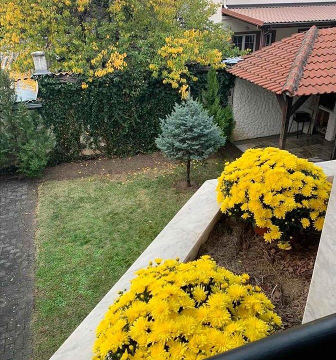 757f35f6-c4e0-47de-9f8f-7f10e2019656